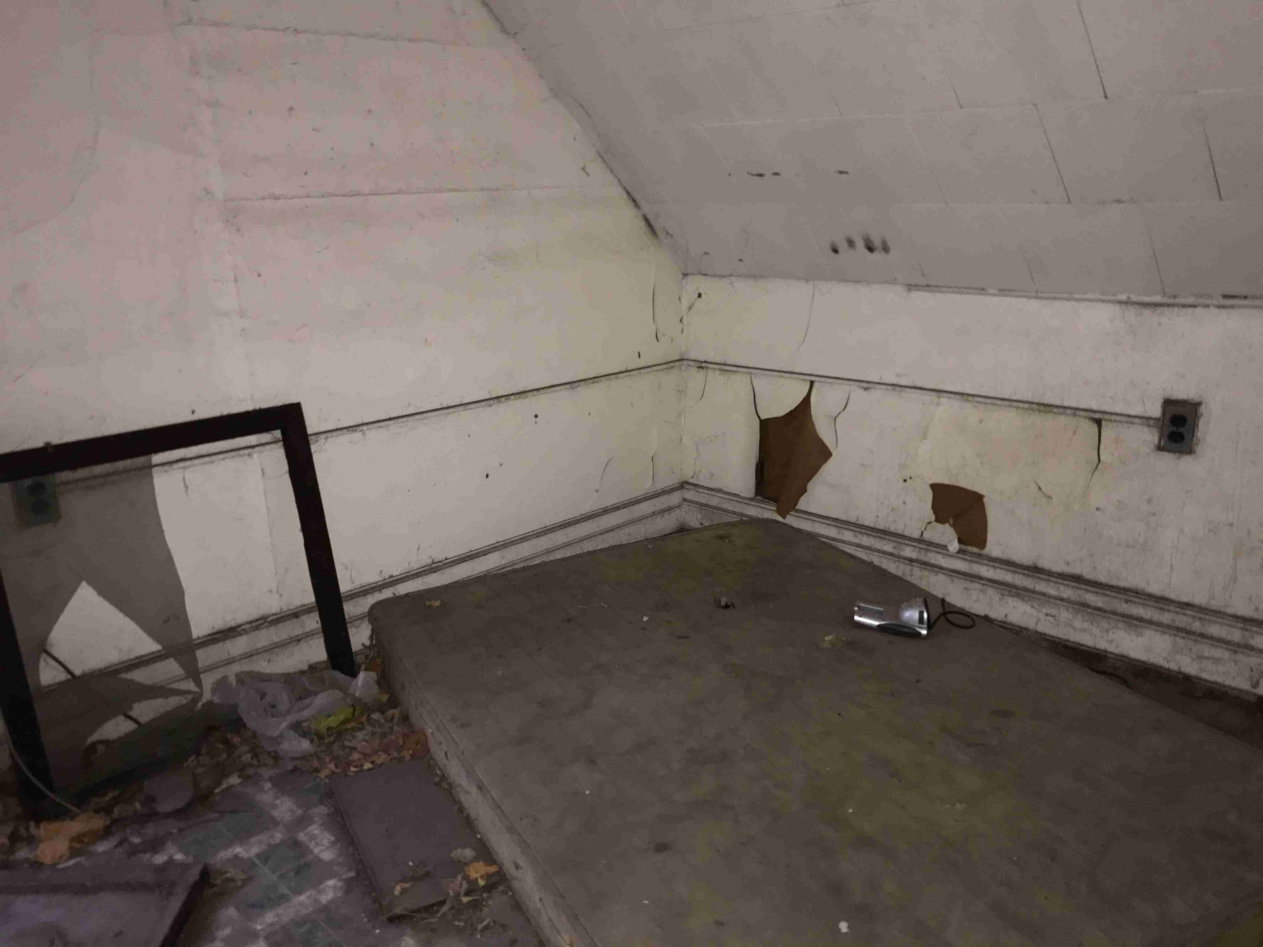 Photo Nov 05, 7 49 31 AM.jpg